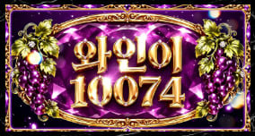 10074