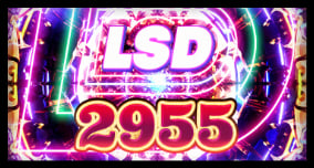 2955