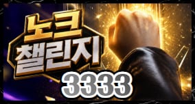 3333