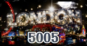 5005